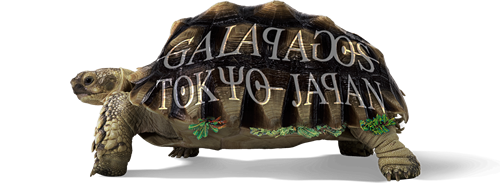 GALAPAGOS TOKYO JAPAN